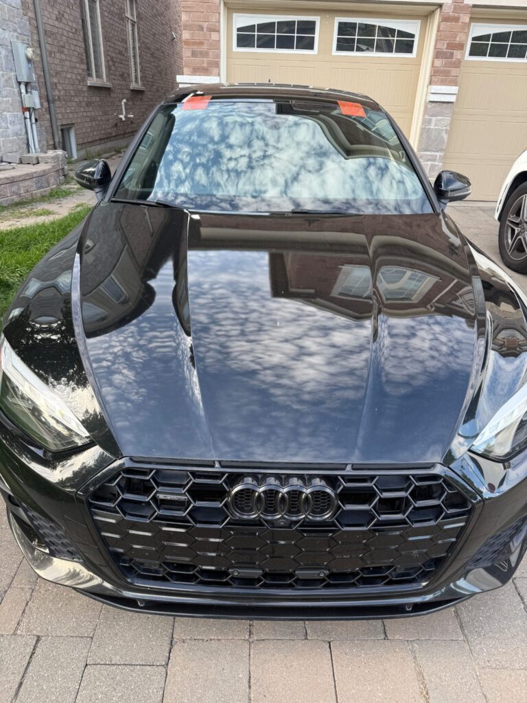 WhatsApp Image 2025-11-12 at 1.22.36 PM